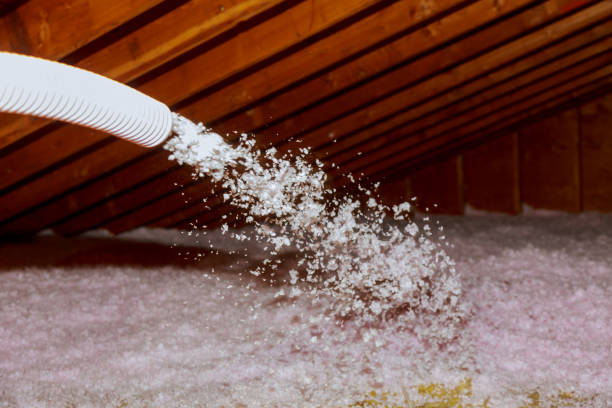 Best Attic Insulation Installation  in Booker, TX